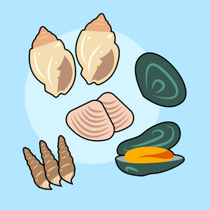 Fresh Shellfish