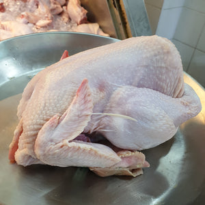 Fresh Whole Chicken (Small 1kg-1.1kg)