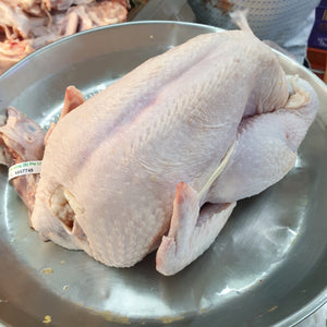 Fresh Whole Chicken (Large 1.4kg-1.5kg)
