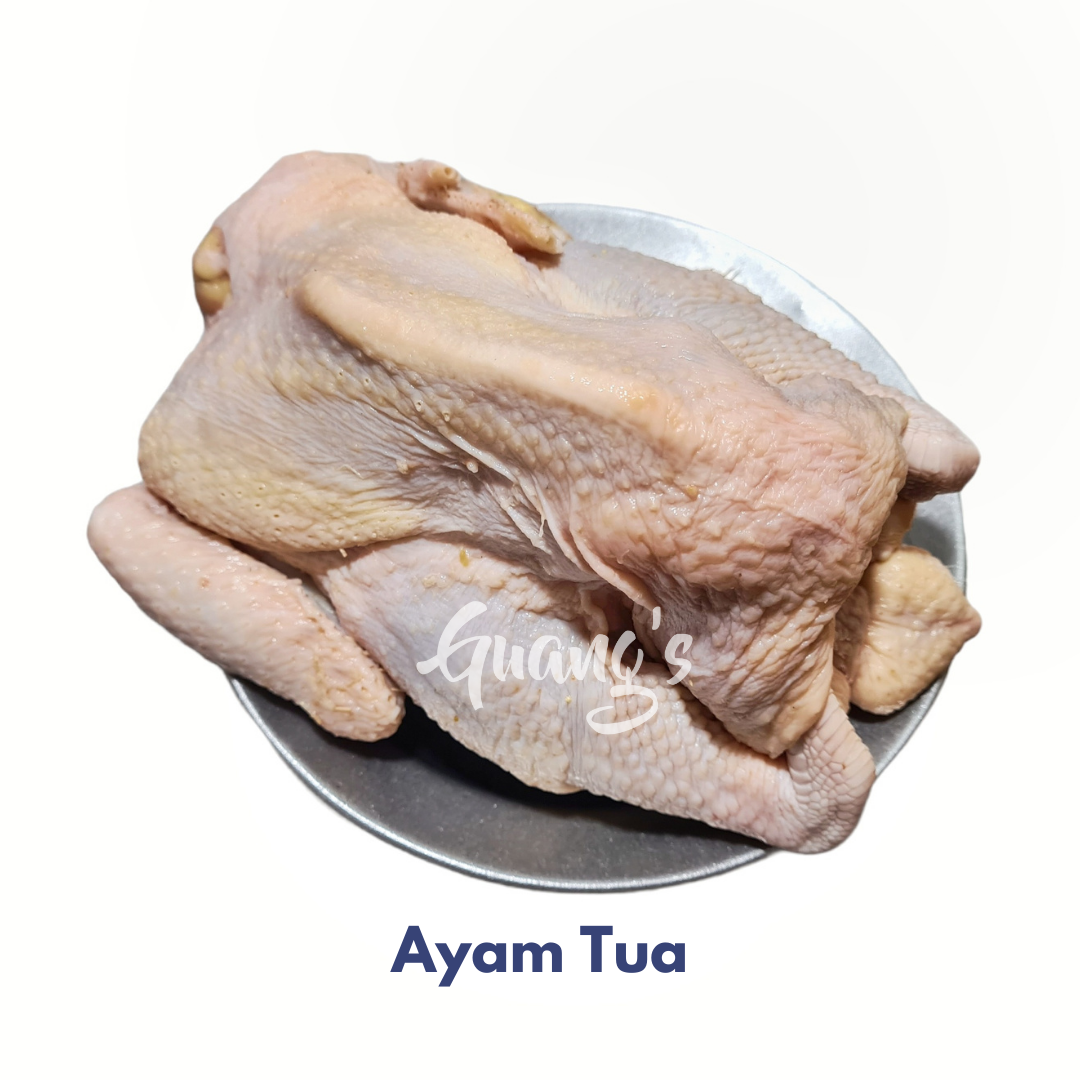 Ayam Tua - Fresh