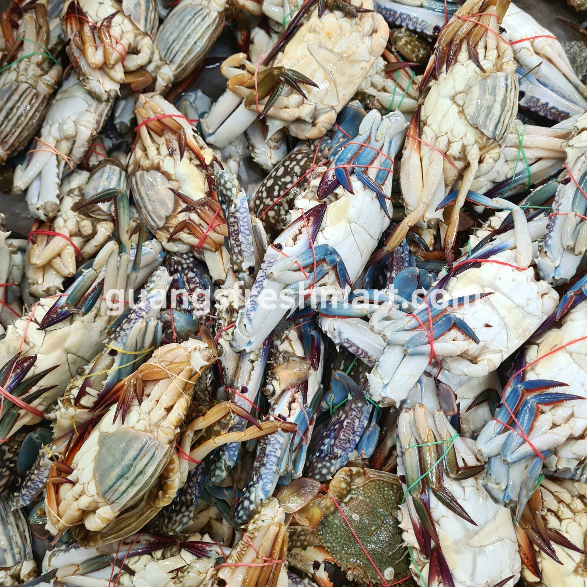 Flower Crabs (1kg)