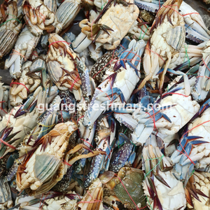 Flower Crabs (1kg)