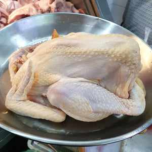 Ayam Kampung Chicken - Fresh