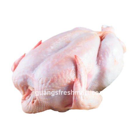 Chicken Whole (Medium 1kg to 1.1kg) - Frozen Thaw
