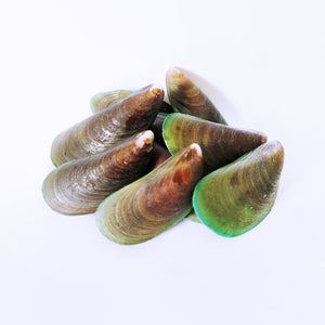 Green Mussels Kupang 青口贝  (1kg)