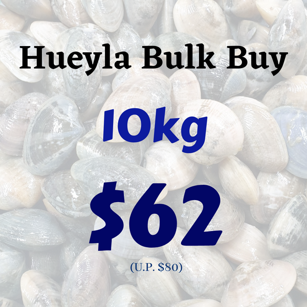 Huey La Flower Clams - Bulk Buy