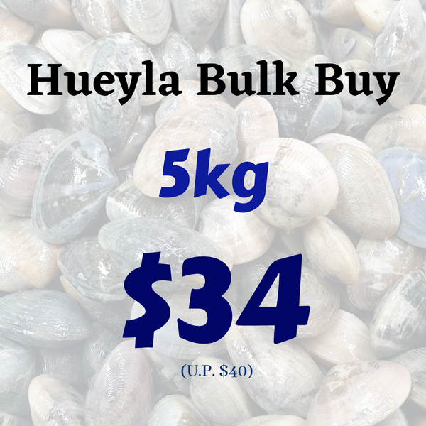 Huey La Flower Clams - Bulk Buy