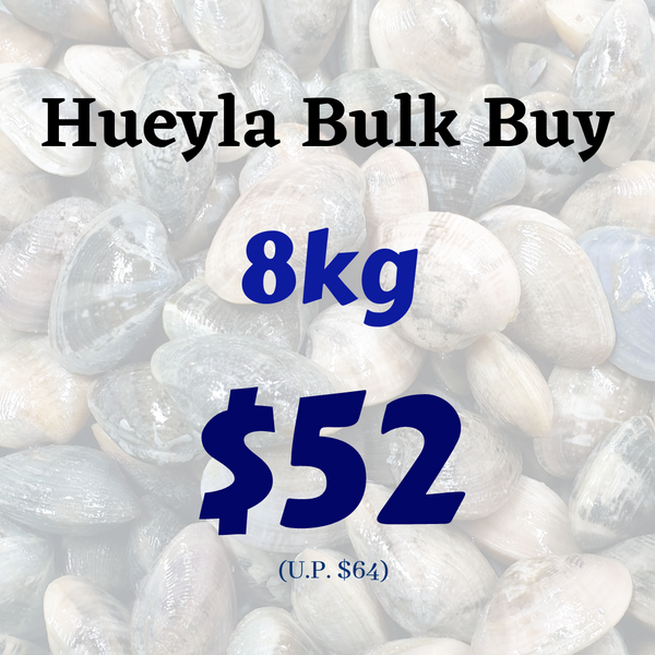 Huey La Flower Clams - Bulk Buy