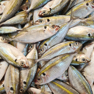 Ikan Kuning (1kg)