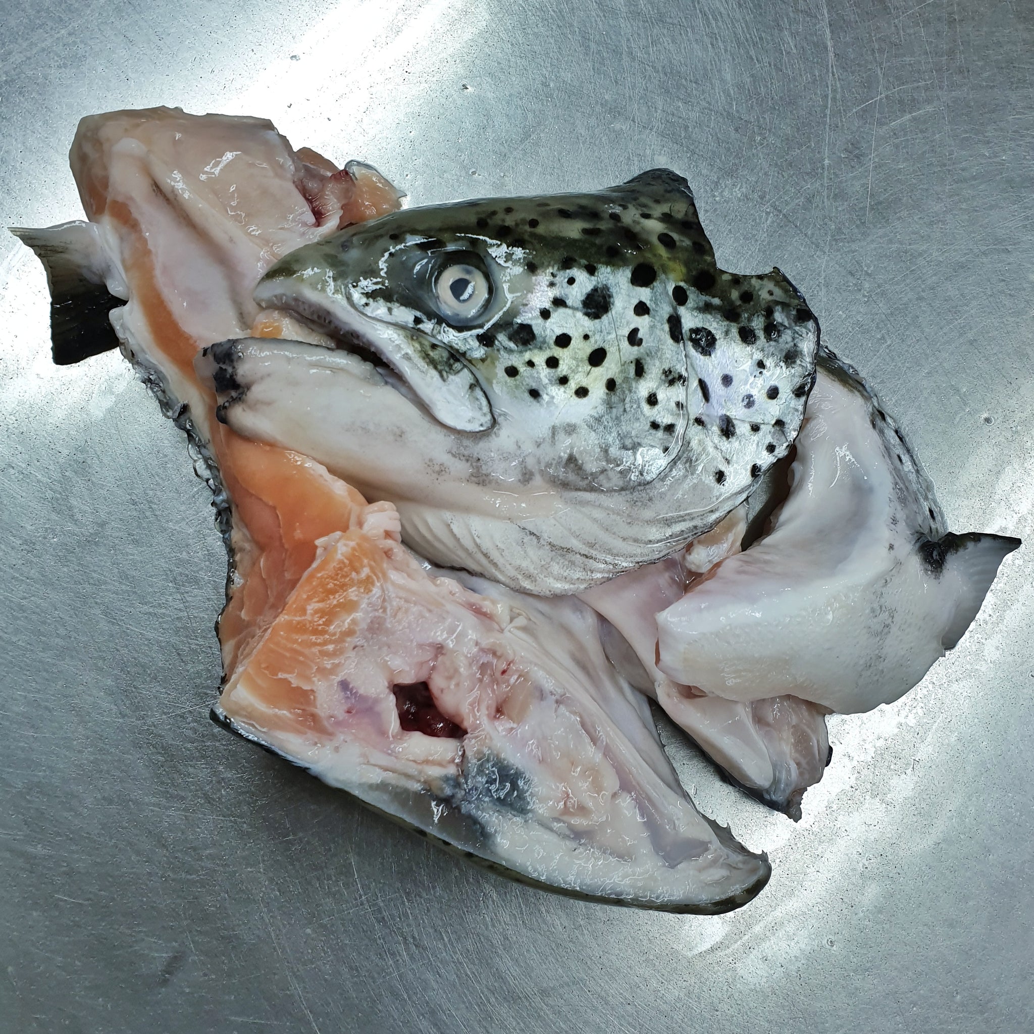 Salmon Head (1pc)