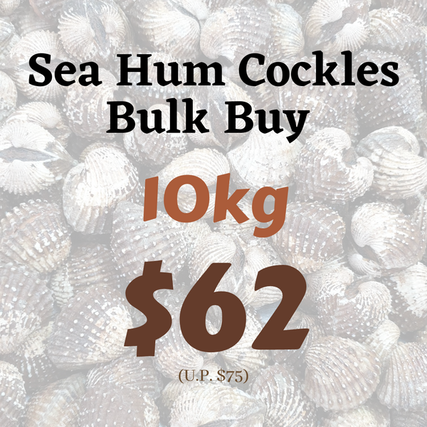 Sea Hum Cockles - Bulk Buy