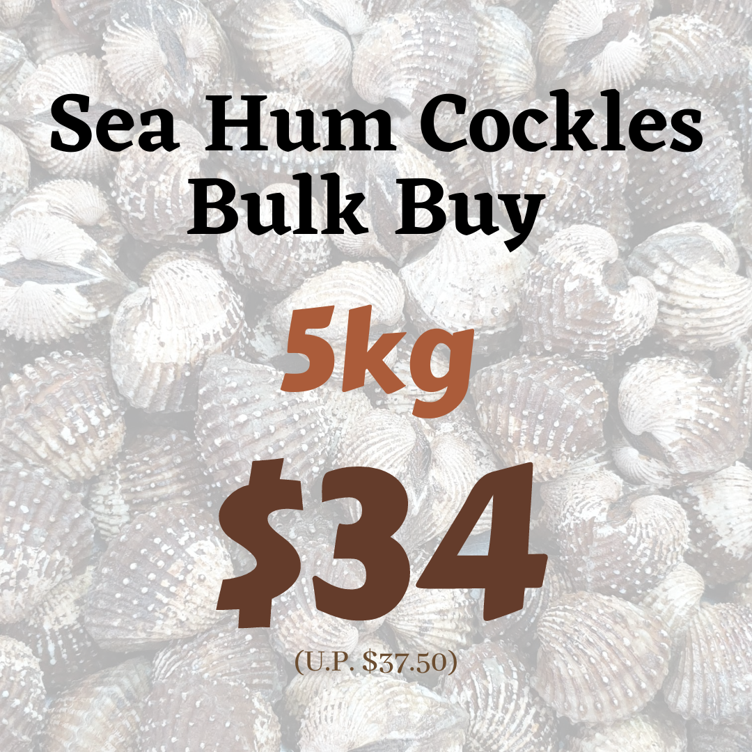 Sea Hum Cockles - Bulk Buy